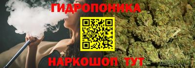 крисы Краснодар