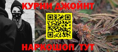 крисы Краснодар