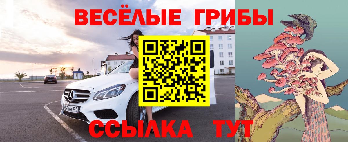 Галлюциногенные грибы мухоморы Кисловодск