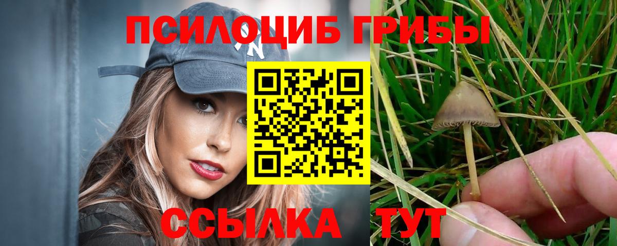 Галлюциногенные грибы Psilocybe  Галлюциногенные грибы GOLDEN TEACHER  Вход с VPN  Кисловодск 